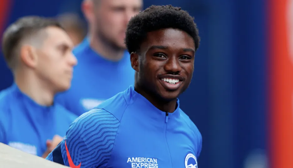 The Rise of a Seagulls Star